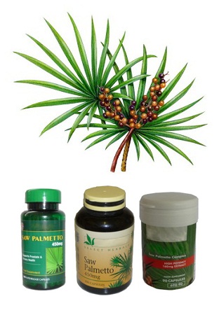 Pjūklas Palmetto plaukams