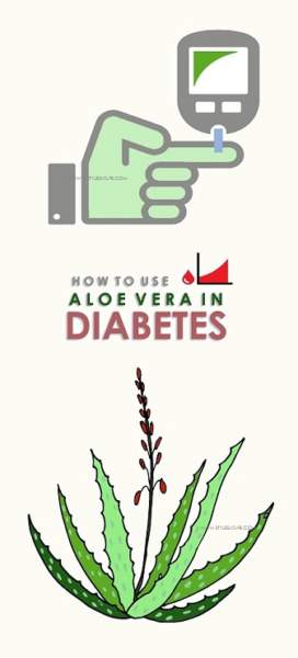 alavijas nuo diabeto