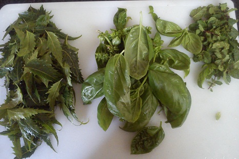 „Tulsi“, „Neem“ ir „Mint“ veido paketas