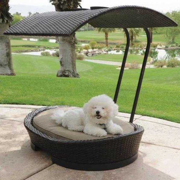 Φτιάξτε το δικό σας κρεβάτι για σκύλους.Εξωτερικές πολυθρόνες μπαστούνι με προστασία από τον ήλιο