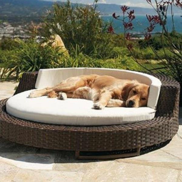 Φτιάξτε τη δική σας εξωτερική πολυθρόνα μπαστούνι για κρεβάτι σκύλου