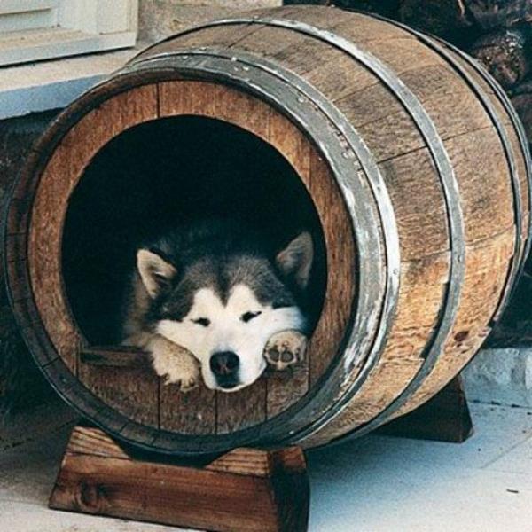 κρεβάτι σκύλου φτιάξτε μόνοι σας ξύλινο βαρέλι παλιό