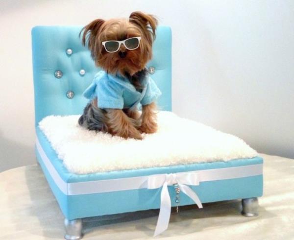 Φτιάξτε το δικό σας κρεβάτι για σκύλους σε κομψό, κιτ μπλε χρώμα