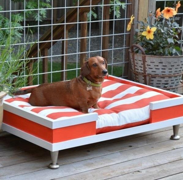 Φτιάξτε το δικό σας συρτάρι για κρεβάτια σκύλων με μαξιλάρια στον κήπο