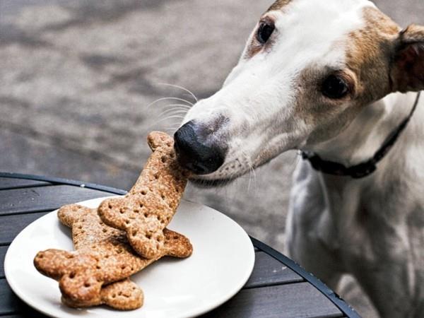 Akeήστε μπισκότα σκύλου μόνοι σας νόστιμα κεράσματα για σκυλιά ιδέα