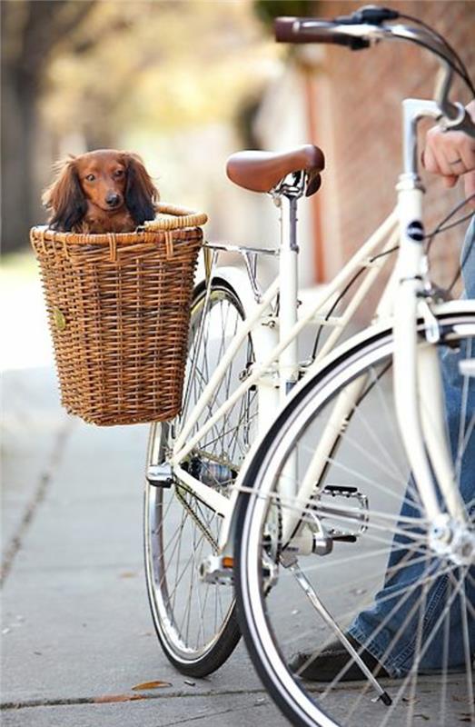 Σκυλί καλαθιού σχεδιασμού ποδήλατο στήριγμα στήριγμα στο πλάι