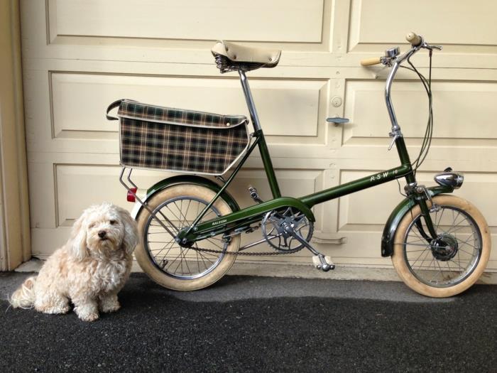 σκυλί καλάθι ποδήλατο ποδήλατο κατοικίδια σκυλιά