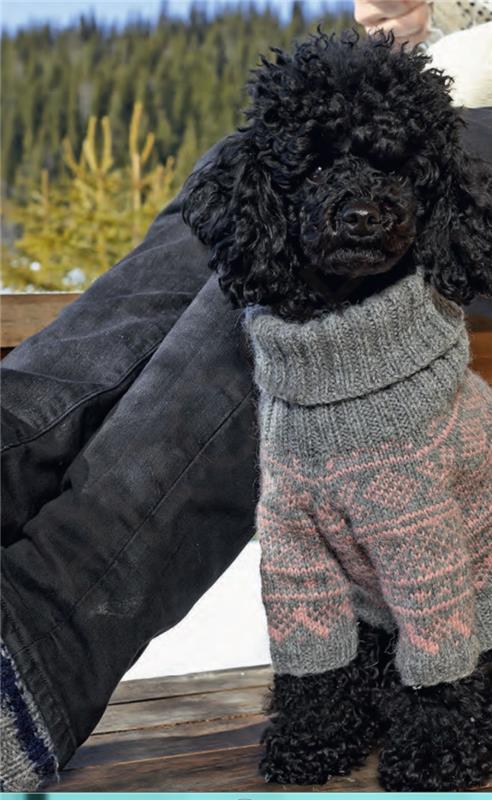 οδηγίες πλέξιμο πουλόβερ σκυλί λακκούβα