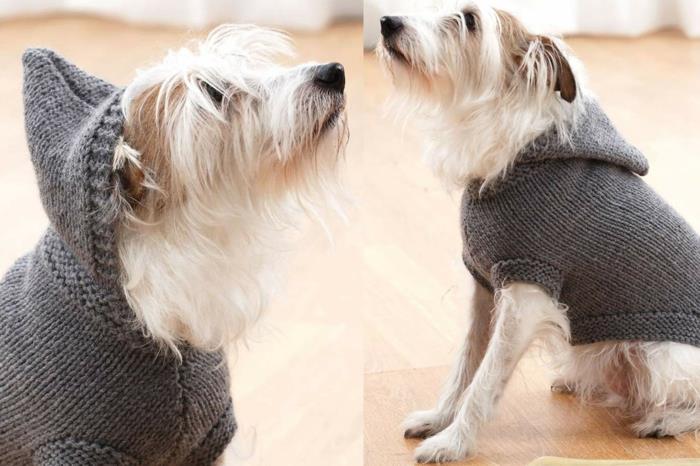 πλεκτό πουλόβερ σκύλου με κουκούλα