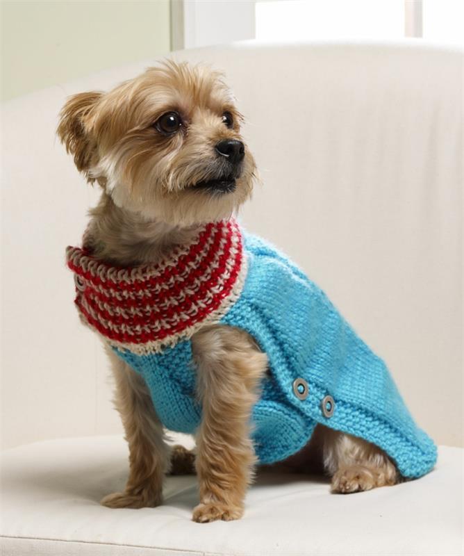 πλεκτό πουλόβερ σκύλου με γιακά