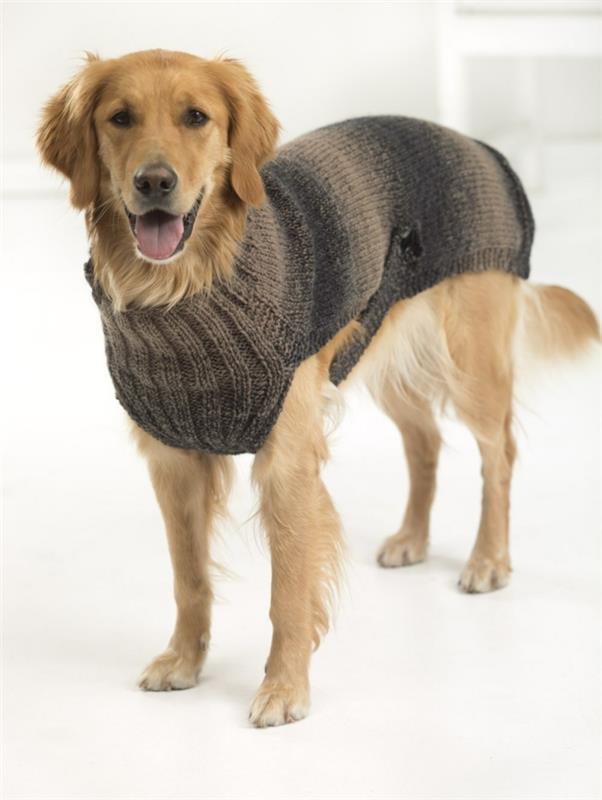 πουλόβερ σκύλου πλεκτό μαλλί