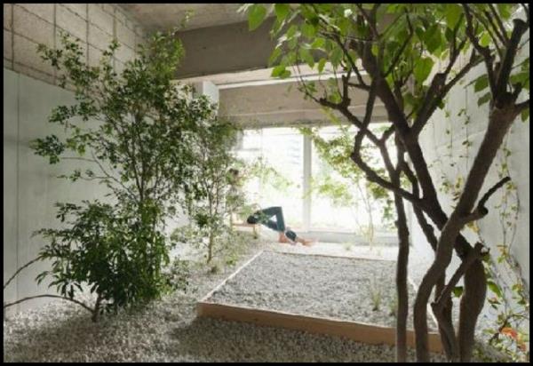 ο εσωτερικός κήπος δημιουργεί δέντρο φυτών φροντίδας