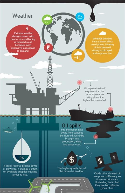 infographic8