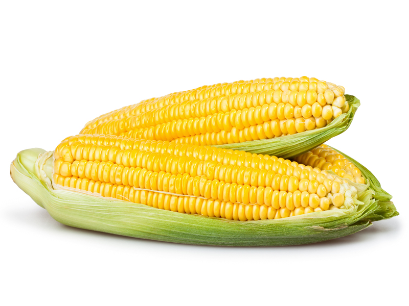 Ar saugu valgyti kukurūzus nėštumo metu?