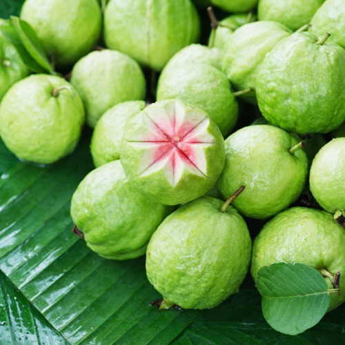 hamilelik sırasında guava