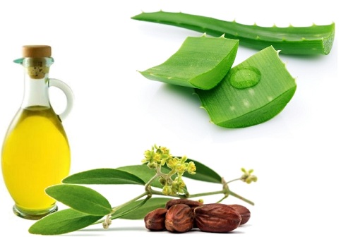 Aloe Vera ve Jojoba Yağı