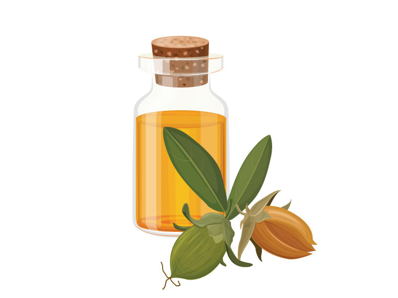 Jojoba Yağı Yüz Kırışıklıkları ve Sivilcelere İyi Gelir mi?