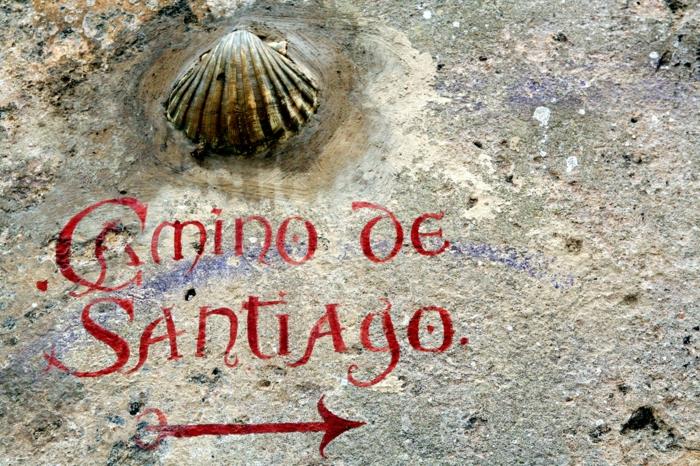 jakobsweg πεζοπορία shell camino de santiago