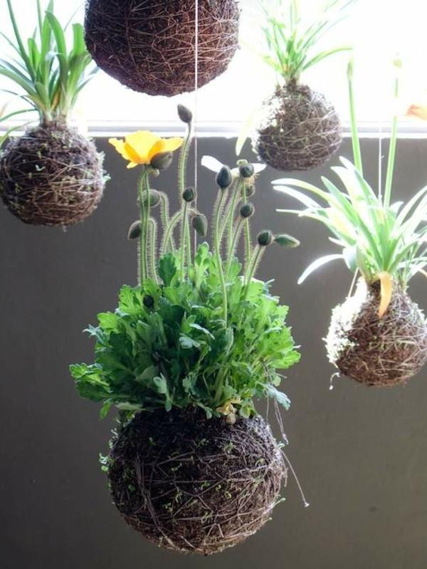 Οι ιαπωνικές ιδέες τέχνης κήπου κάνουν την μπάλα βρύα Kokedama μόνοι σας