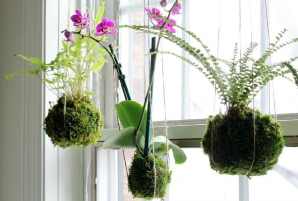 Γιαπωνέζικες μπάλες βρύα Kokedama φτιάξτε μόνοι σας ιδέες
