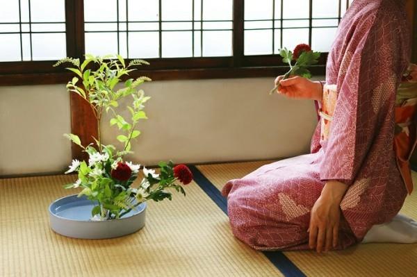 ιαπωνική λουλουδάτη διάταξη χρυσάνθεμα ikebana