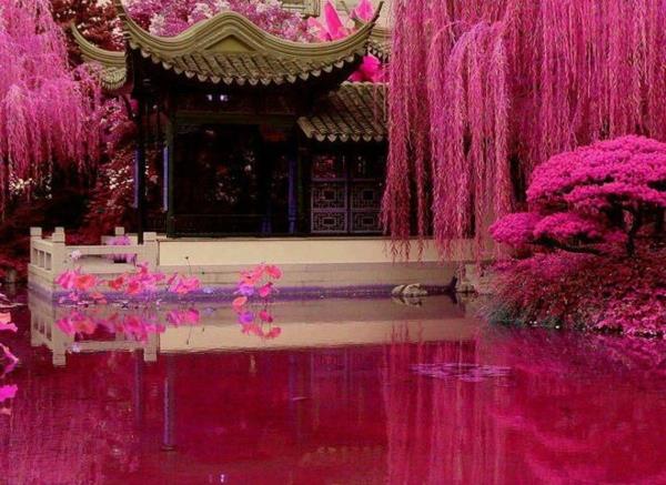 ιαπωνικό σχήμα κήπου ροζ