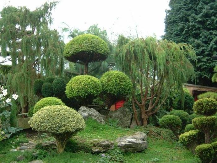 ιδέες σχεδιασμού ιαπωνικού κήπου κήπου ιαπωνικού στυλ