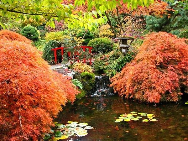 Ιαπωνικός κήπος χρωματιστά παρτέρια κόκκινη γέφυρα
