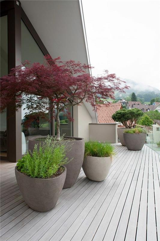 Ιαπωνικός σχεδιασμός βεράντας κήπου με φυτά σε γλάστρες Ιαπωνικό στιλ