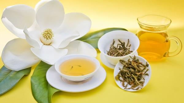 πιείτε καφέ ή τσάι φλιτζάνι λουλούδια βότανα υγιεινό πράσινο