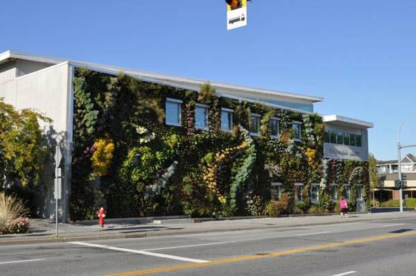 Καναδά πράσινο γκρι semiahmoo ιδέες εξωτερικού σχεδιασμού