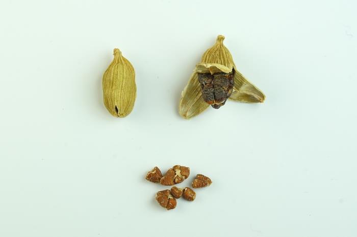 Elettaria cardamomum αρωματικοί υγιείς σπόροι πράσινο λοβό