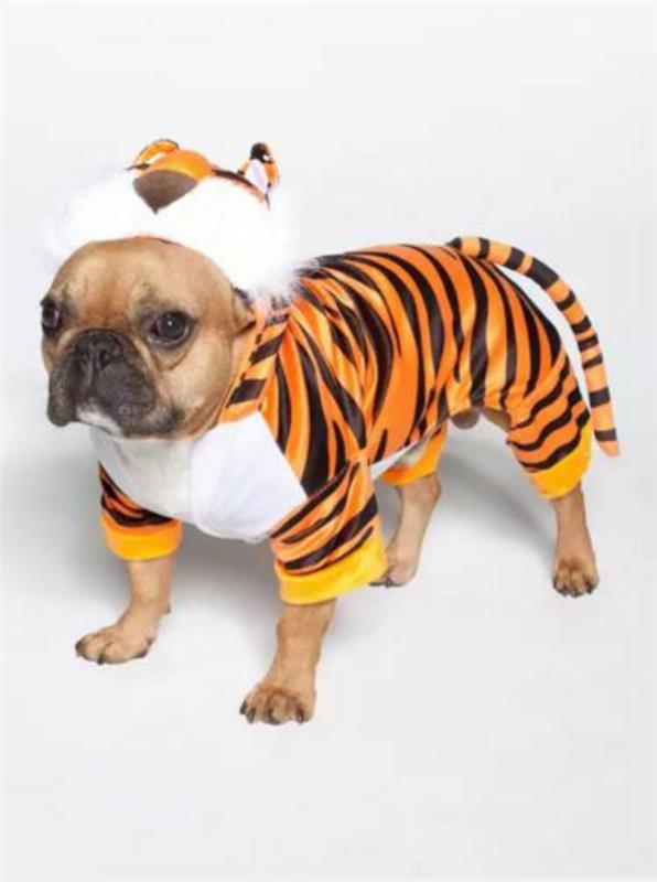 κοστούμια αποκριάτικα κοστούμια λογότυπο κολώνια κλόουν ανόητοι κοστούμια καρναβαλική παρέλαση σκυλί τίγρης