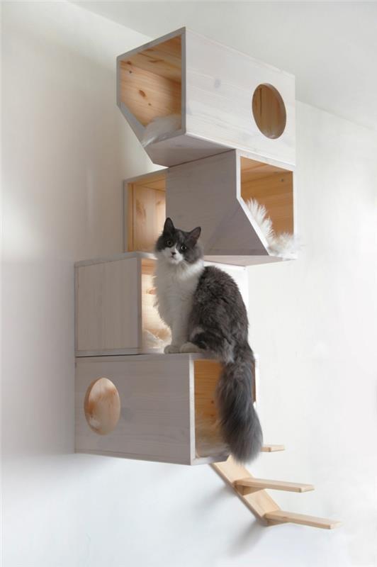 Αύξηση γάτας σπίτι γάτες στάση γάτα επίπλωση διακόσμηση τοίχου