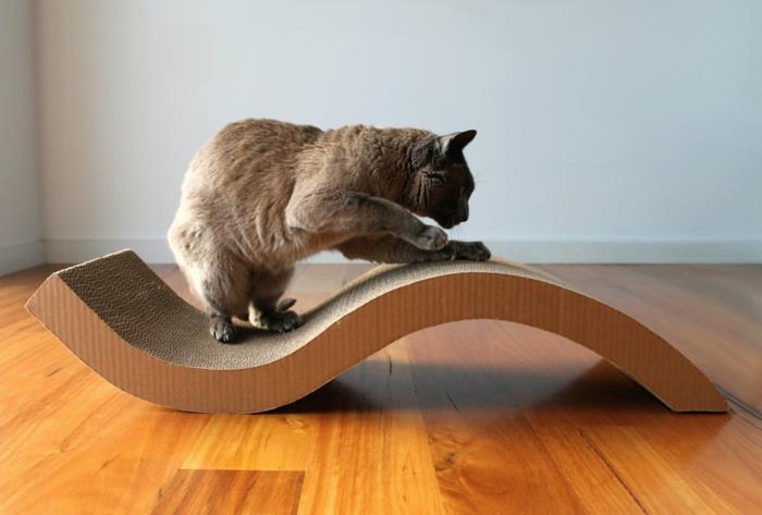 αυξήσει τις γάτες συμβουλές σπίτι γάτες στάση έπιπλα γάτας ξύσιμο μετά