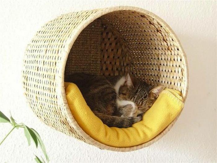 αύξηση γατών συμβουλές έπιπλα γάτας κρεβάτι γάτας στον τοίχο