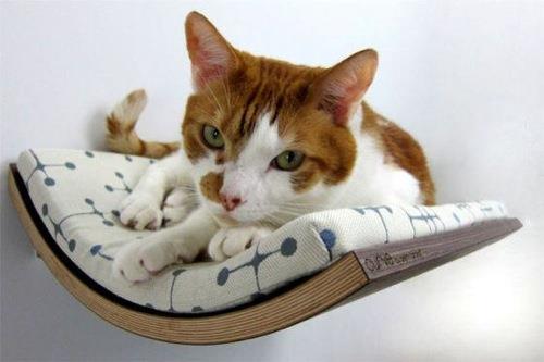 έπιπλα σχεδίασης σαλόνια γάτας για κατοικίδια ζώα
