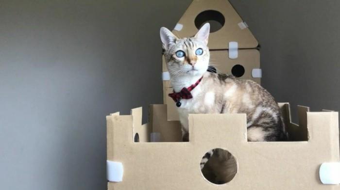 Φτιάξτε μόνοι σας ένα σπίτι για γάτες έπιπλα από χαρτόνι Σπίτι γάτας από άκρες από χαρτόνι