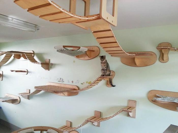 έπιπλα γάτας ξύλινη βάση σκάλας