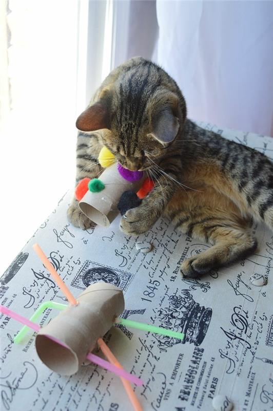 Φτιάξτε παιχνίδια γάτας με ρολά από χαρτί υγείας