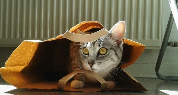 παιχνίδια γάτας χάρτινες σακούλες