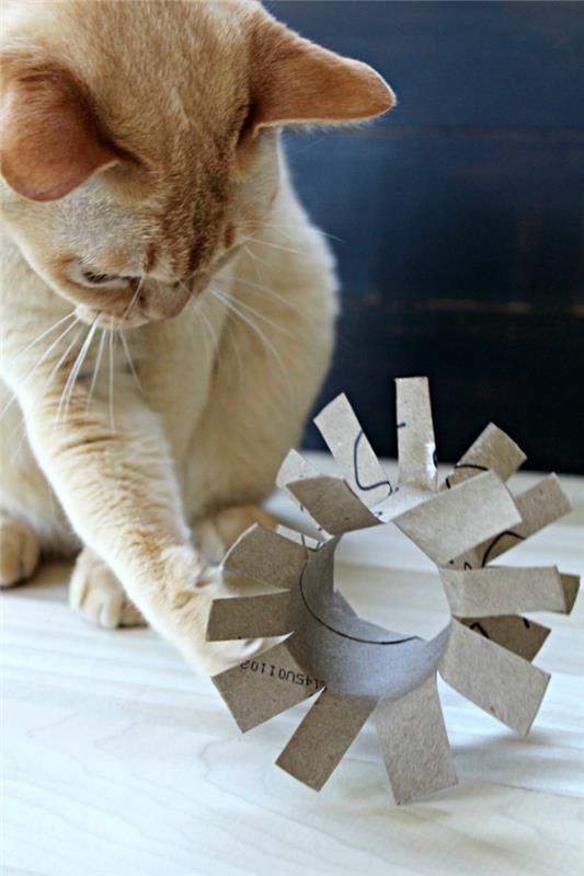 Φτιάξτε μόνοι σας παιχνίδια γάτας με ρολά από χαρτί υγείας