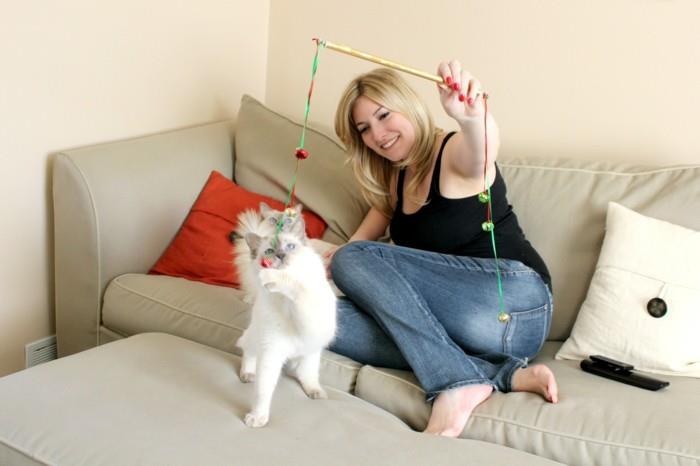 φτιάξτε μόνοι σας παιχνίδια γάτας οικιακή γάτα