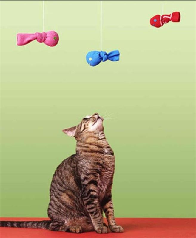 φτιάξτε μόνοι σας παιχνίδια για γάτες κινητά