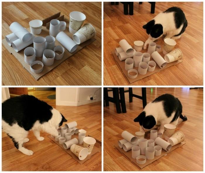 Τα παιχνίδια γάτας δημιουργούν ιδέες ανακύκλωσης μόνοι σας