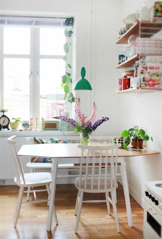τραπεζαρία κουζίνας τοίχο ράφια φυτών