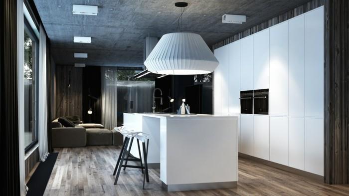 σχεδιασμός κουζίνας μοντέρνα κουζίνα κουζίνα νησί μοντέρνο δωμάτιο οροφή δάπεδο φυσητή ξυλεία εμφάνιση