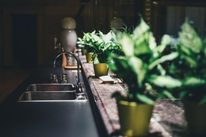 μαγειρικά βότανα και φυτά εσωτερικού χώρου στην κουζίνα