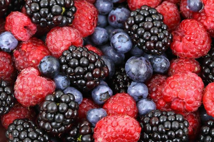 κετογονική διατροφή υγιή λίπη λιπαρά οξέα χαμηλοί υδατάνθρακες φρούτα μούρα μούρα βατόμουρα βατόμουρα