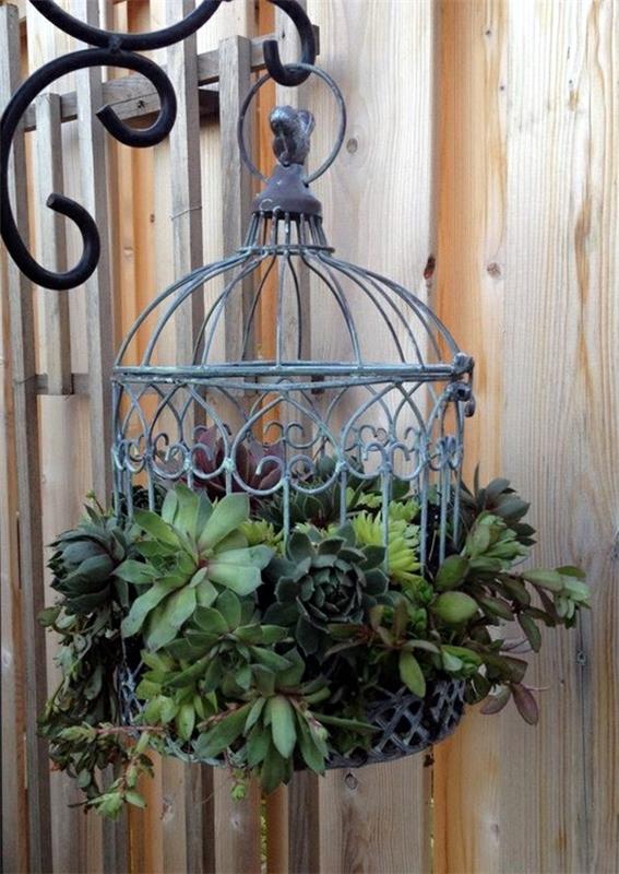 cage diy κρεμαστά καλάθια φτιάξτε μόνοι σας παχύφυτα
